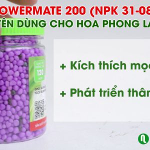 Combo Bộ 3 Phân Tan Chậm Có Kiểm Soát Rynan Chuyên Dùng Cho Lan