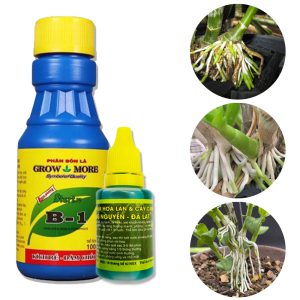 Bộ đôi kích rễ nhanh và mạnh